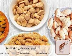 بادام فرانسوی مرغوب + خرید به صرفه